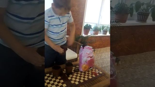 Сажу растения! смотреть онлайн