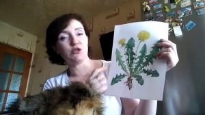 +Видео занятие 1 Изучаем цветы