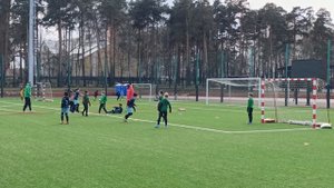PROFIBALL (2015)& Перспектива Реутов 2:3