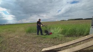 Влог от 03.07.2020