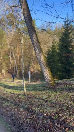 Утро на тропе здоровья в Кисловодском парке