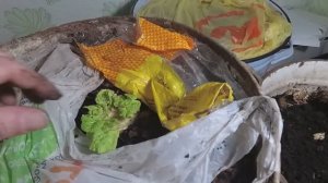 Идеальная земля для рассады.