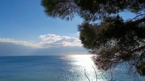 Морской прибой 🌊🏄 и музыка 🎤🎼🎹🎶саксофона.