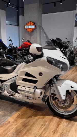 2013 GoldWing Snow White