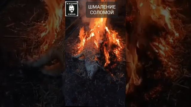 ШМАЛЕНИЕ ПОРОСЕНКА СОЛОМКОЙ ДЕДОВСКИМ СПОСОБОМ. РЕЦЕПТЫ СЮФ #сало  #засолкасала  #вкусно #рецепт #ры