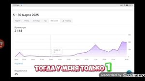 обзор на Халли кота|он захотел посмотреть какой обзор получился| rutube chicken gun Халли кот обзор