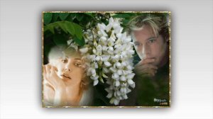 Таня Штерн и Виктор Волик - Белая акация душистая ( сл Т Штерн муз С Рыженков )