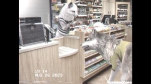 Топ 5 WildCraft Страшилок За 2023-2024 #3 || TrufelKa WildCraft