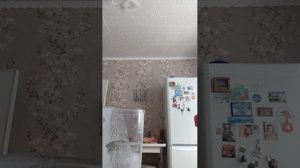 К СОЖАЛЕНИЮ МЫ НА КУХНЕ ДЕЛАЕМ БЛИНЧИКИ