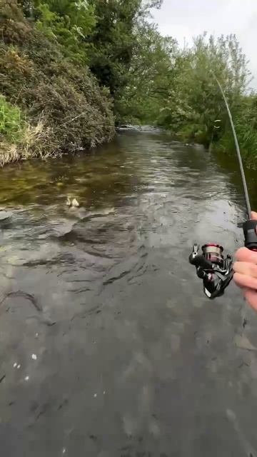 Ловля форели на ультралайт