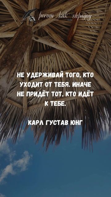 Цитаты о мудрости.
