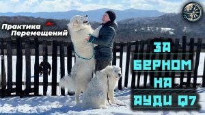 За Берном на Ауди Q7