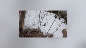 САББАТИ ФОРЕСТ 12×76 НА 308, СТРЕЛЬБА.