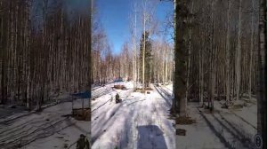 Угодья 2. Вести с полей.