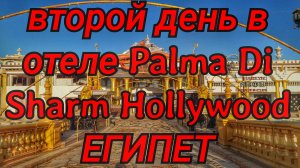 Второй день отдыха в отеле Palma Di Sharm Hollywood #Egypt #путешествия