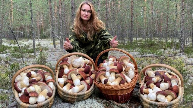 Борода смотреть онлайн