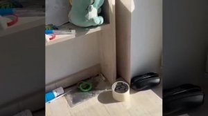 В Питере солнечный зайчик чуть не устроил пожар