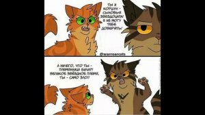 Озвучка мемов по котам воителям!