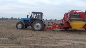 Уборка картофеля (мтз 1221+grimme se260)