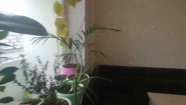 #5845992 смотреть онлайн