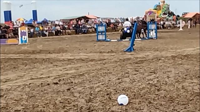 ЛОШАДИ🐎КОНЬ БУЯН ОТКРЫВАЕТ КОННЫЕ СОРЕВНОВАНИЯ