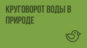 Круговорот воды в природе. Видеоурок по окружающему миру 3  класс