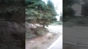 Пансионат Радуга в Урзуфе