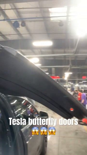 Butterfly doors on a Tesla😱 #tesla #cars #shorts #viral смотреть онлайн