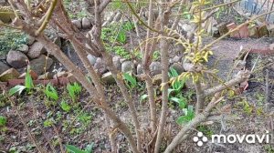 Обзор как облогородили территорию и обзор покупок.