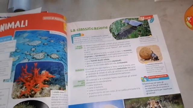 Моё утро с Софией😊/Школьные книги в Италии/София чистит зубки😉 смотреть онлайн