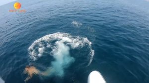 Море удовольствия на Чёрном море!