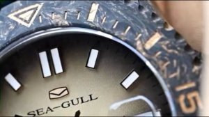 Sea-Gull watch: Ocean Star Pro · Carbon Fiber. Ref. 419.82.1209