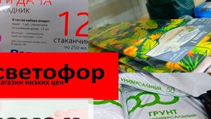 БЕГОМ В СВЕТОФОР🚦ТАКОГО ДАВНО НЕ БЫЛО❗Такие Цены Поискать❗Обзор