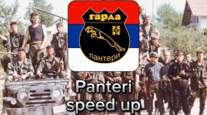 Panteri speed up