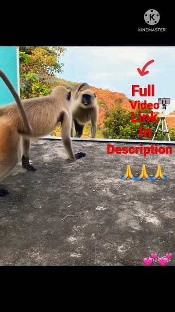 June 15, 2022 смотреть онлайн