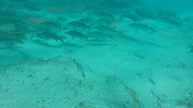Jupiter inlet june 2019 смотреть онлайн