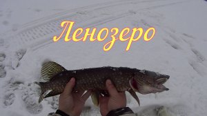 Ленозеро, в поисках рыбацкого счастья!