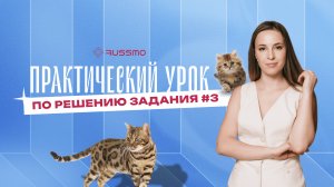 Практика отработки 3 задания ЕГЭ. Стилистический анализ текста