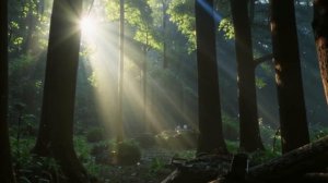 РАССКАЗ :Муж скрывал бизнес с поддельными договорами, пока сын не принёс в суд дневник