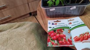 Жизнь за городом 🏠. Пришла весна💐/Посев и пересадка томатов 🌿