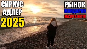 СИРИУС/АДЛЕР/2025/РЫНОК/МАНДАРИН/МАЗУТА НЕТ!!!! #влог #море #путешествие #2025 #тревелвлог #отдых
