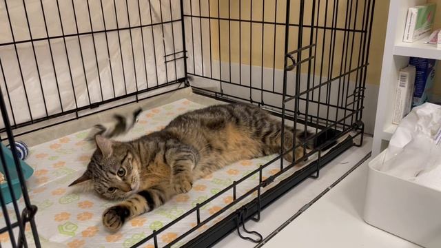 06-04-2025 смотреть онлайн