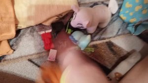 ВЛОГ С БАСИКАМИ/передаем приветы