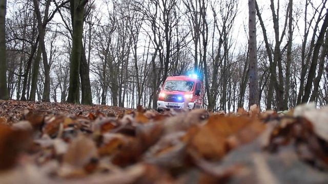 OSP Kanie prezentuje nowego   Forda Transita CustomFrank Cars