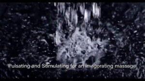 Душевая лейка Grohe Euphoria 110 Massage 27239000