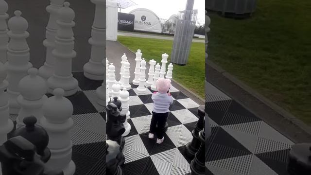 Прогулка по Олимпийскрму парку. Шахматная доска смотреть онлайн