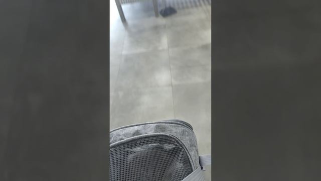 Задержка рейса. А у меня два хвостика домой спешат.