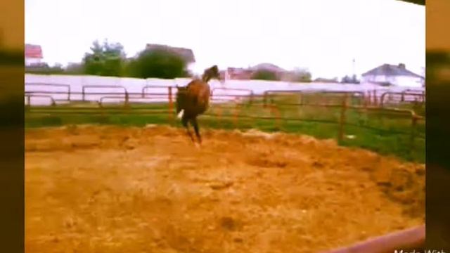 Амина и Экзамен)) смотреть онлайн