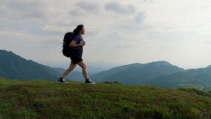 18206418-hd_1920_1080_24fps