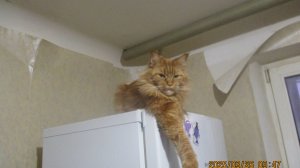 эй вы там на верху